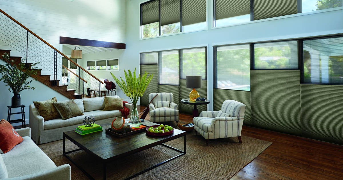 Duette® Honeycomb Shades near Virginia Beach, Virginia (VA) with bold color options, sound absorption, and more.